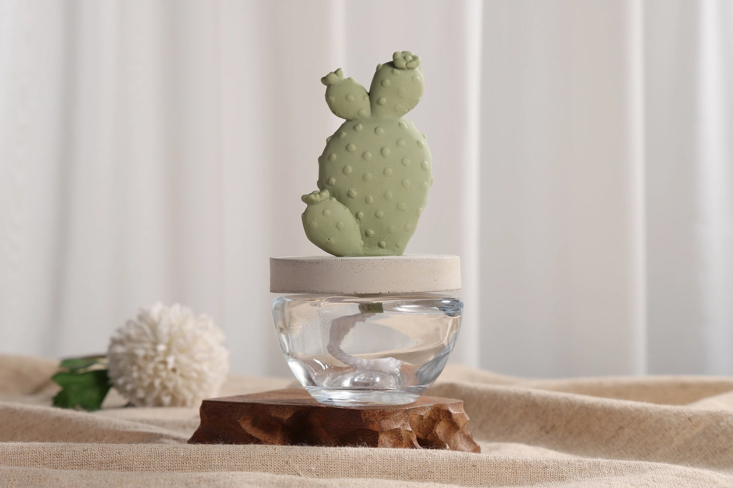 Pretty Valley Home Cactus Fragrance Diffuser Set White Flower 100ml