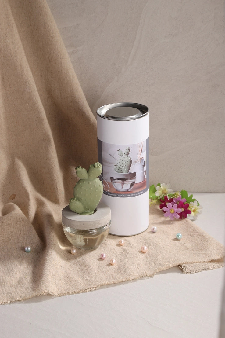 Pretty Valley Home Cactus Fragrance Diffuser Set White Flower 100ml