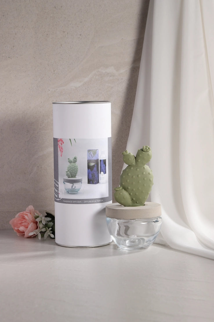 Pretty Valley Home Cactus Fragrance Diffuser Set White Flower 100ml