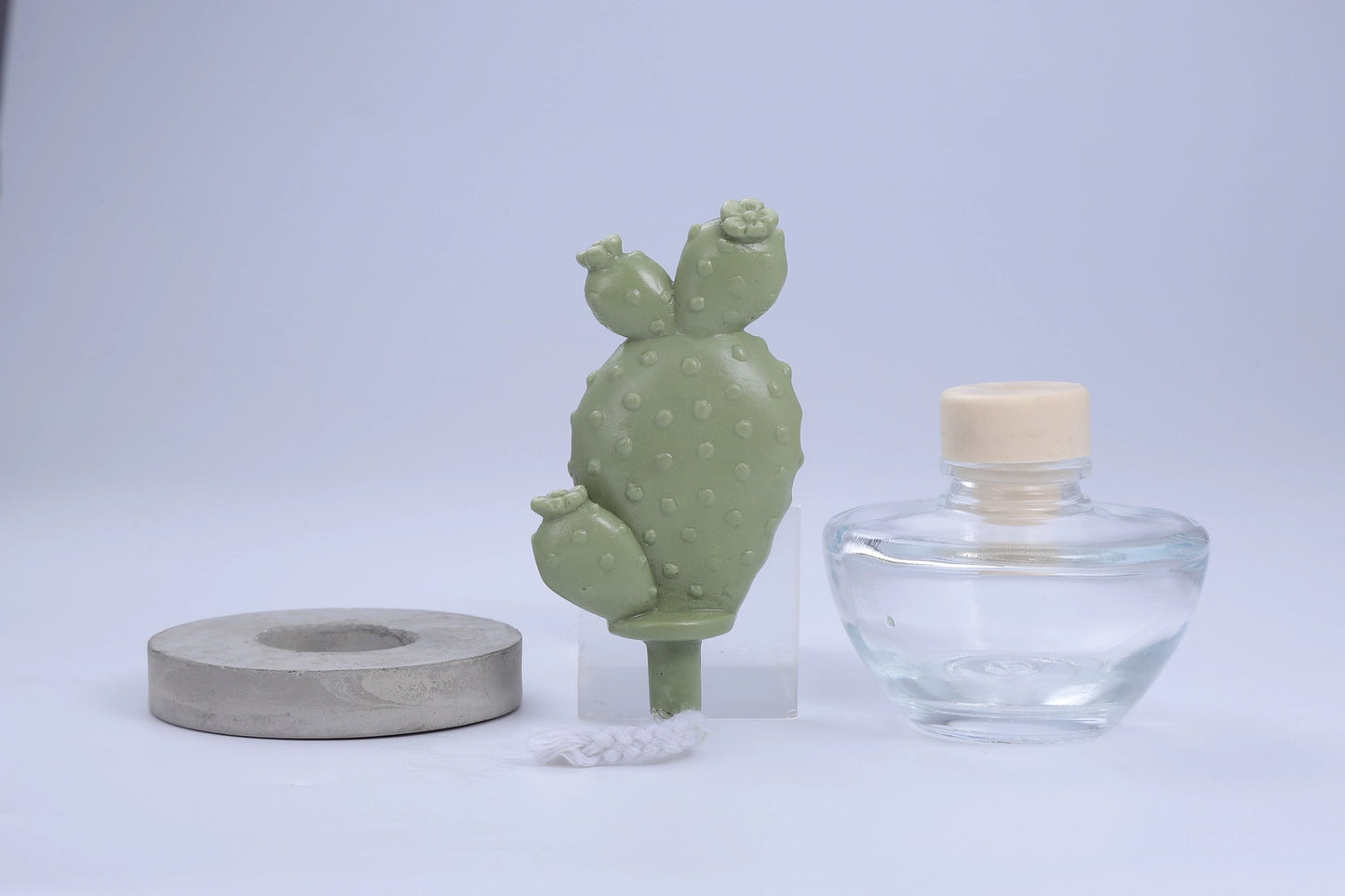 Pretty Valley Home Cactus Fragrance Diffuser Set White Flower 100ml