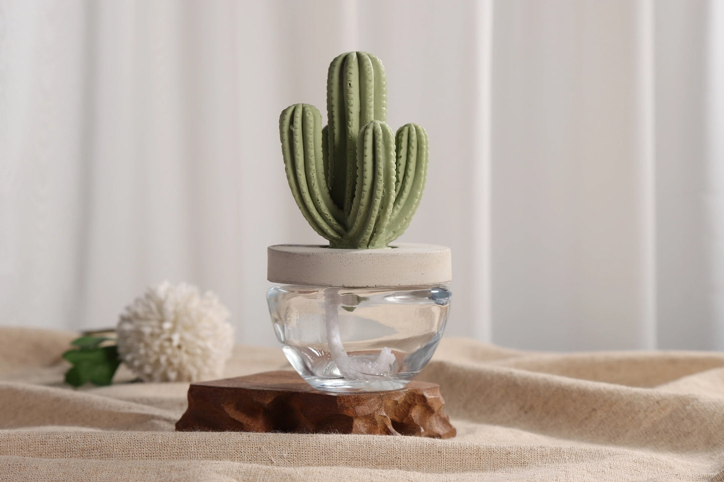 Pretty Valley Home Cactus Fragrance Diffuser Set-Cutting Grass