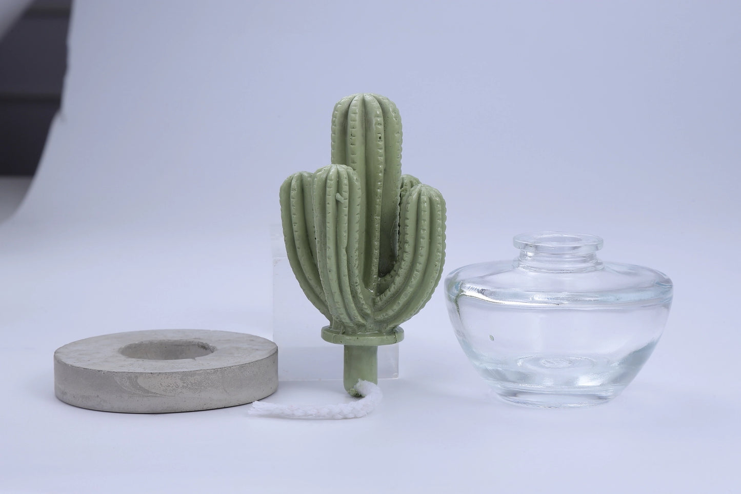 Pretty Valley Home Cactus Fragrance Diffuser Set-Cutting Grass