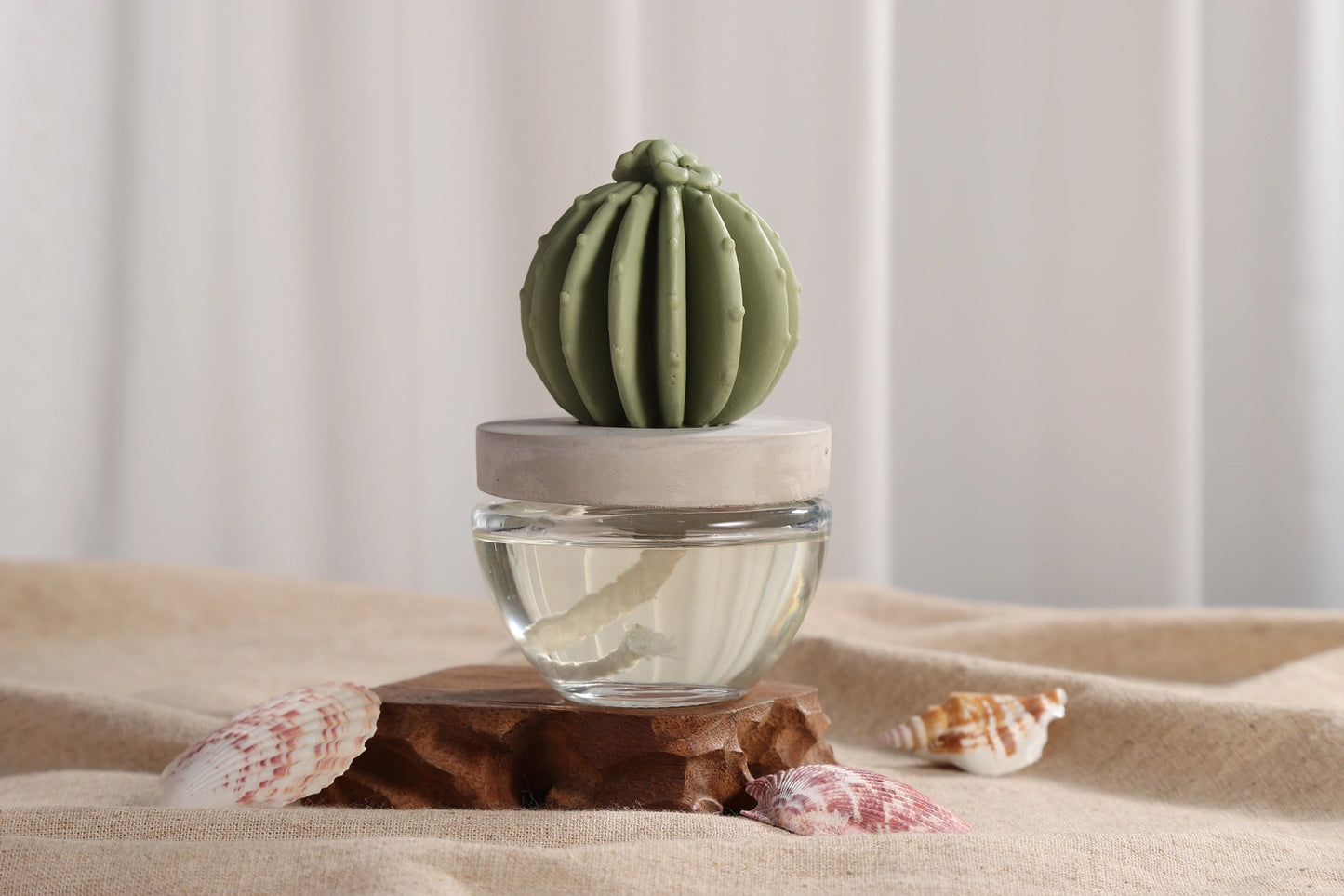 Pretty Valley Home Cactus Fragrance Diffuser Set -Ocean Breeze