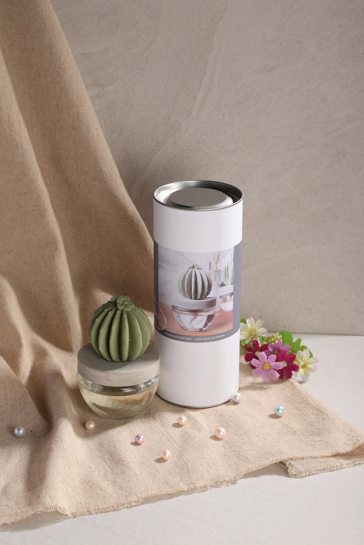 Pretty Valley Home Cactus Fragrance Diffuser Set -Ocean Breeze