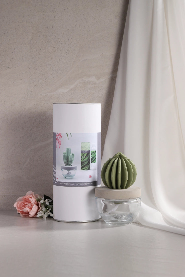 Pretty Valley Home Cactus Fragrance Diffuser Set -Ocean Breeze