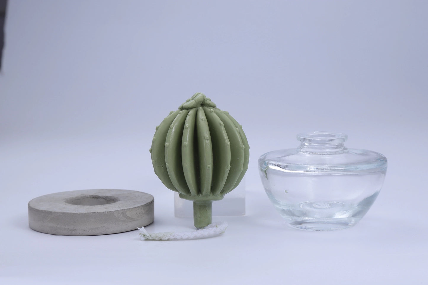 Pretty Valley Home Cactus Fragrance Diffuser Set -Ocean Breeze