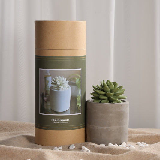Pretty Valley Home Succulent Planter Diffuser Gift Set Combo Sweet Orange Cedar 200ml