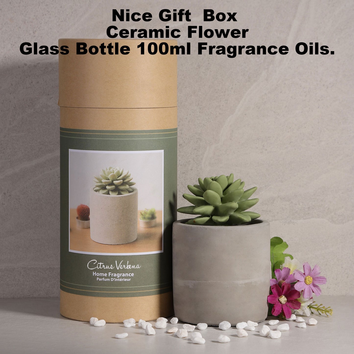 Pretty Valley Home Succulent Diffuser Ceramic Planter Set - Citrus Verbena