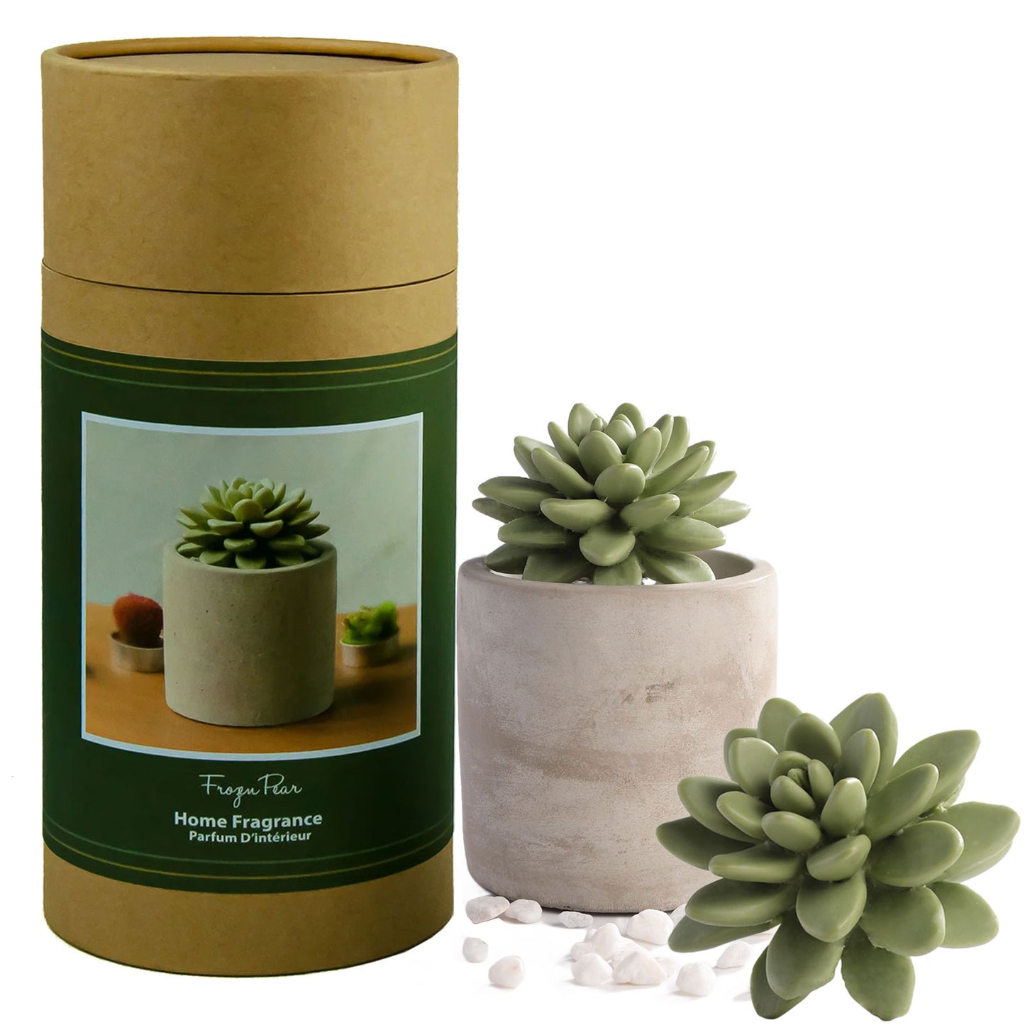 Pretty Valley Home Succulent Diffuser Ceramic Planter Set - Frozen Pear