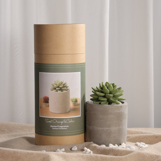 Pretty Valley Home Succulent Diffuser Ceramic Planter Set - Citrus Verbena