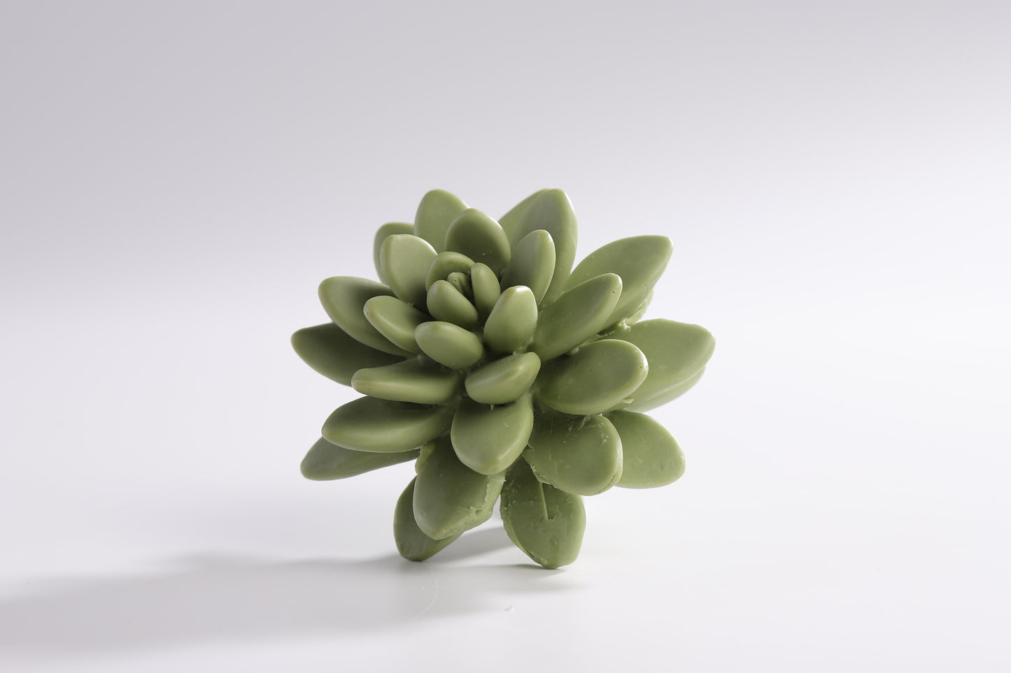 Pretty Valley Home Succulent Diffuser Ceramic Planter Set - Citrus Verbena