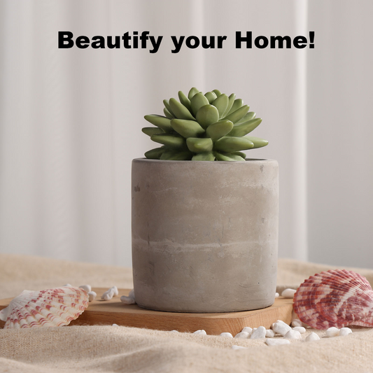 Pretty Valley Home Succulent Diffuser Ceramic Planter Set - Frozen Pear