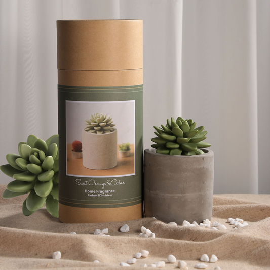 Pretty Valley Home Succulent Diffuser Ceramic Planter Set - Sweet Orange Cedar