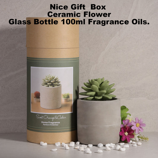 Pretty Valley Home Succulent Diffuser Ceramic Planter Set - Sweet Orange Cedar