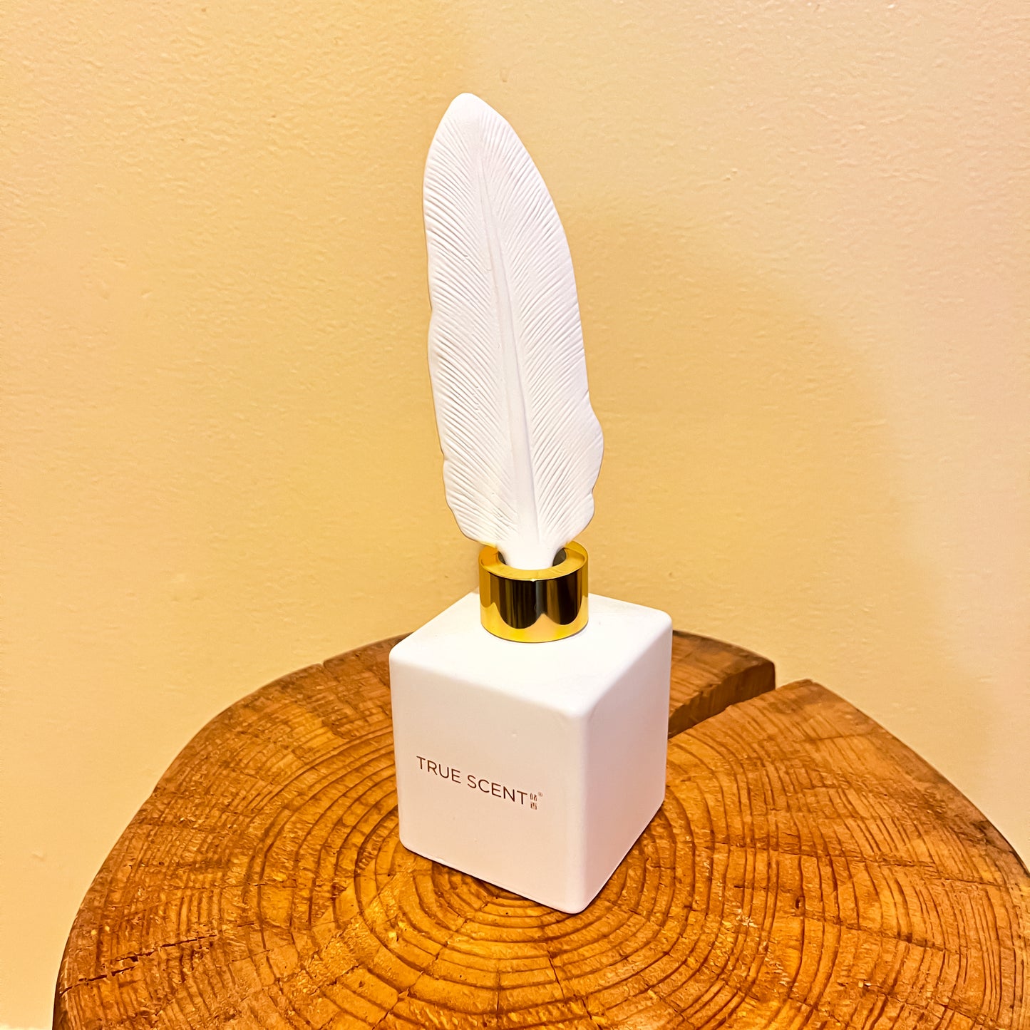 Pretty Valley Home Feather Ceramic Fragrance Diffuser True Scent Jin Jardin