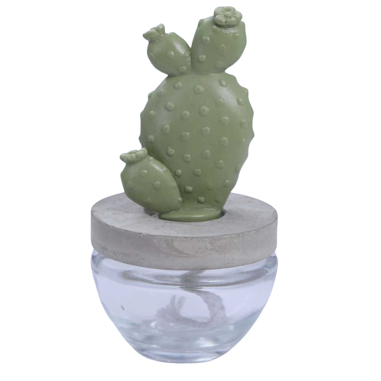 Pretty Valley Home Reed Diffuser Set Ceramic Cactus Fragrance Diffuser- 3.38 fl oz (100 ml), Home Fragrance Reed Diffuser for Bathroom Office Living Room Dining Table Decor - WHITE FLOWER