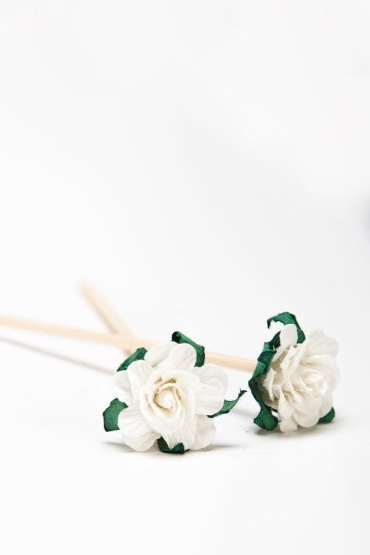 Pretty Valley Home White Mini Sola Flower Sticks (set of 30)
