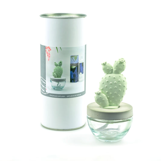 Pretty Valley Home Bunny Ear Cactus Ceramic Flower Fragrance Diffuser Combo Citrus Verbena 200ml