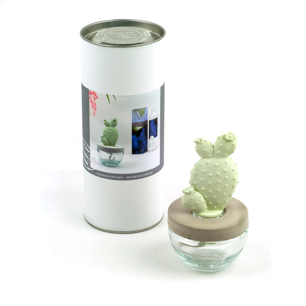 Bunny Ear Cactus Ceramic Flower Fragrance Diffuser Combo Wild Bluebell 200ml DFC-BNY-9134