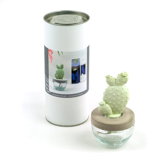 Pretty Valley Home Bunny Ear Cactus Ceramic Flower Fragrance Diffuser Combo Elegant Peony 200ml
