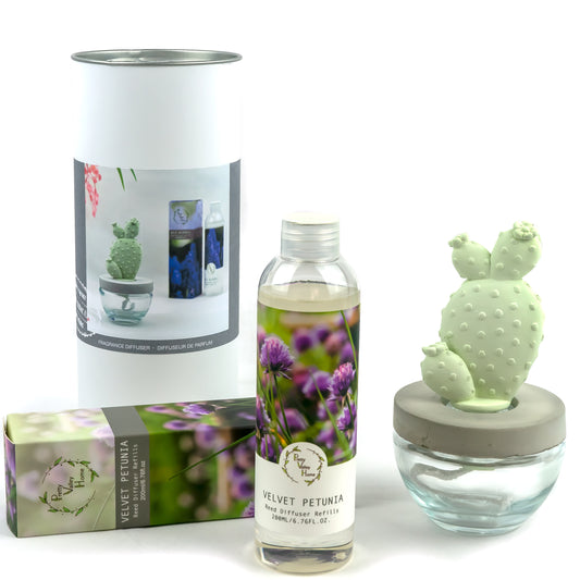 Pretty Valley Home Barrel Cactus Ceramic Flower Fragrance Diffuser Combo Velvet Petunia 200ml