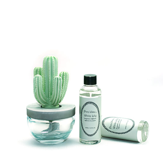 Pretty Valley Home Cactus Ceramic Flower Fragrance Diffuser Set White Lily 200ml