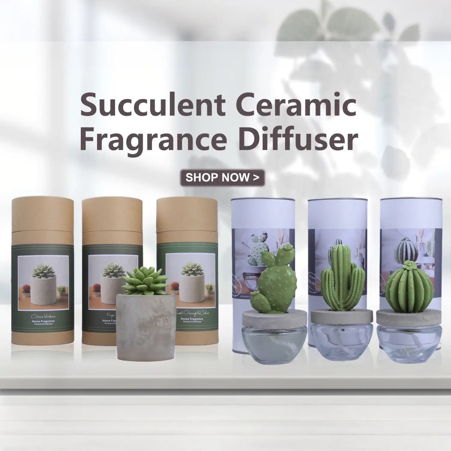CERAMIC CACTUS & SUCCULENT EVERGREEN DIFFUSERS