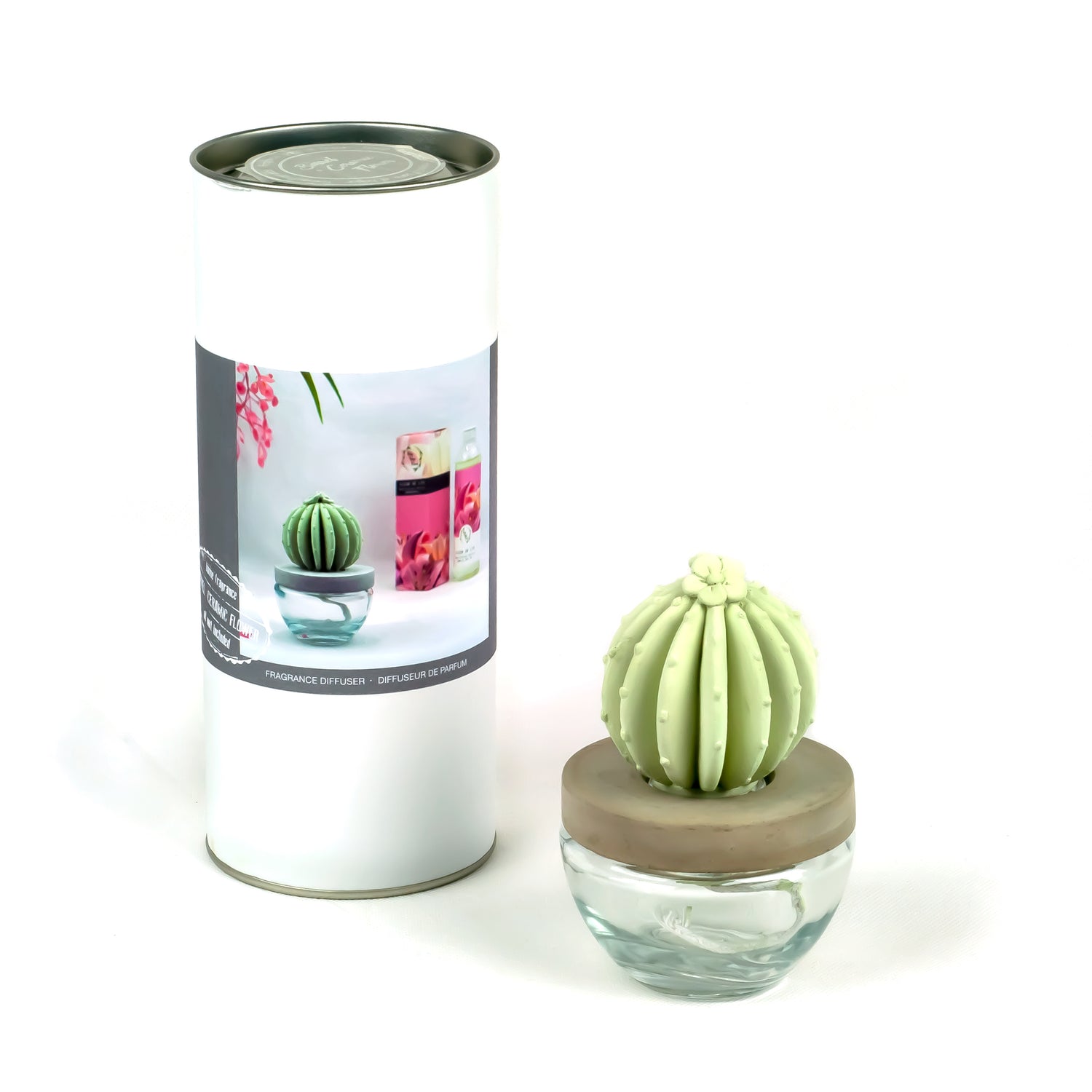 Barrel Cactus