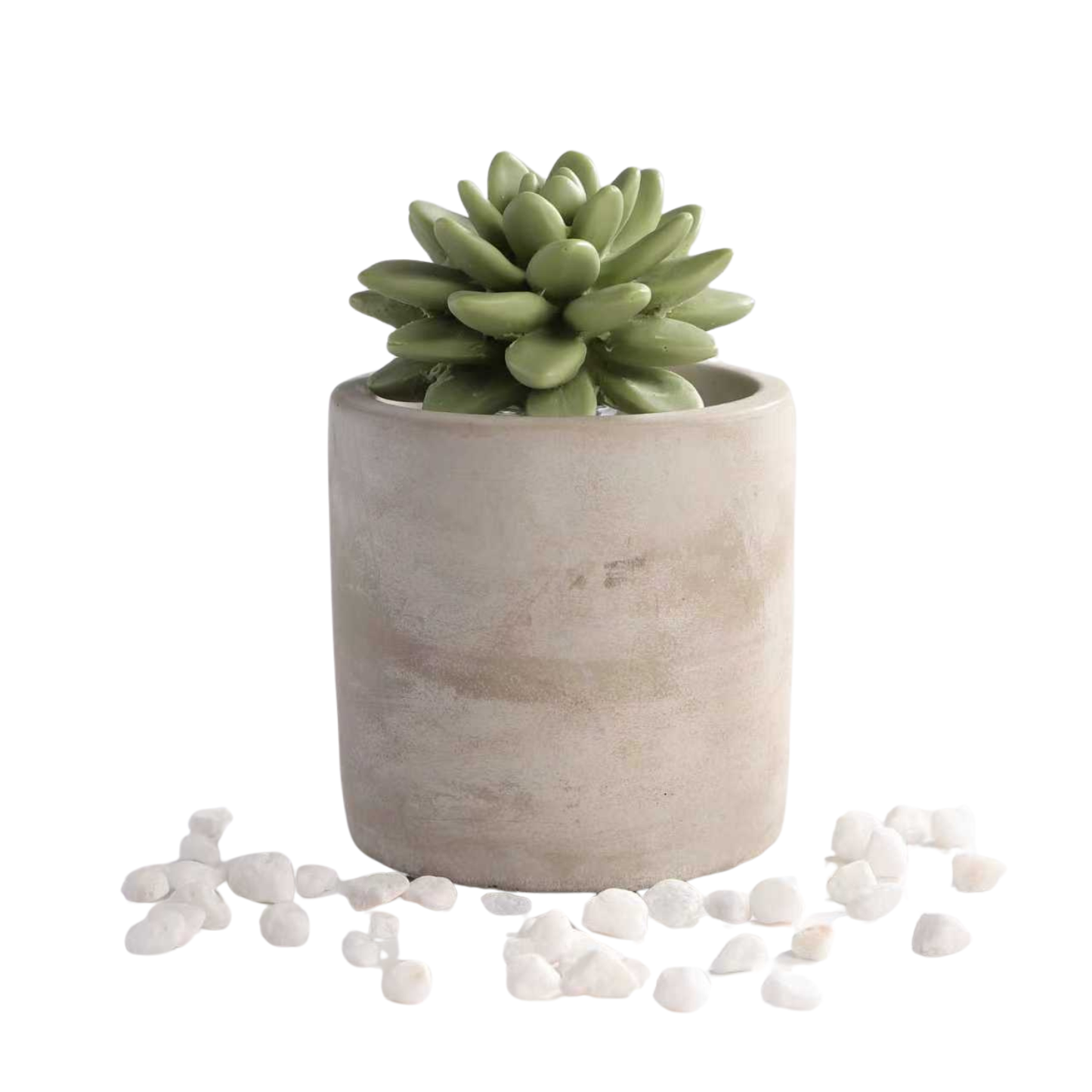 Pretty Valley Home Reed Diffuser Set, 3.38 fl oz/100 ml Succulent Ceramic Fragrance Diffuser Set, Home Fragrance Reed Diffuser for Bathroom Office Living Room Decor - Sweet Orange Cedar