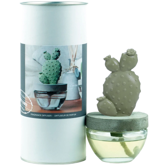 Pretty Valley Home Cactus Fragrance Diffuser Set White Flower 100ml