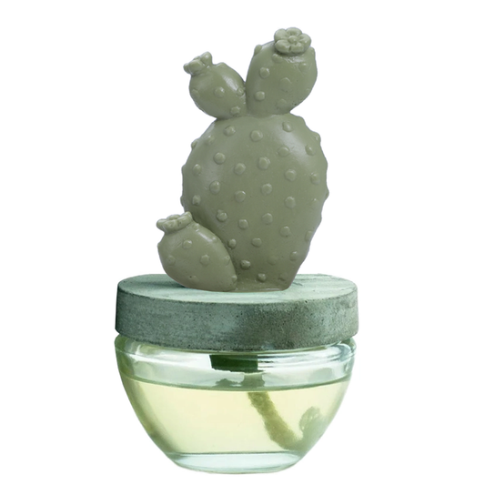 Pretty Valley Home Cactus Fragrance Diffuser Set White Flower 100ml