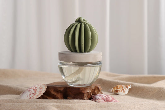 Pretty Valley Home Cactus Fragrance Diffuser Set -Ocean Breeze