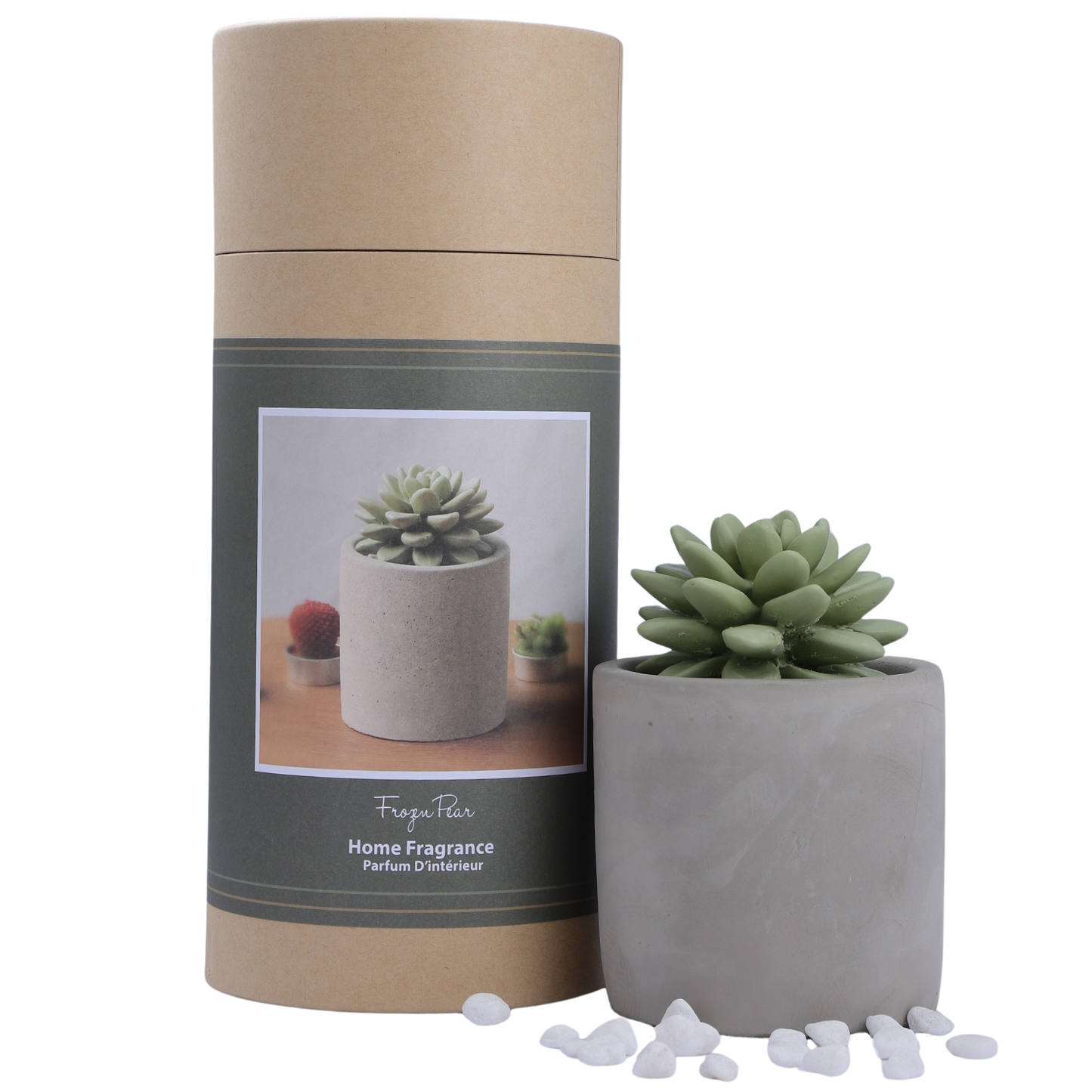 Pretty Valley Home Reed Diffuser Set, 3.38 fl oz/100 ml Succulent Ceramic Fragrance Diffuser Set, Home Fragrance Reed Diffuser for Bathroom Office Living Room Decor - FROZEN PEAR