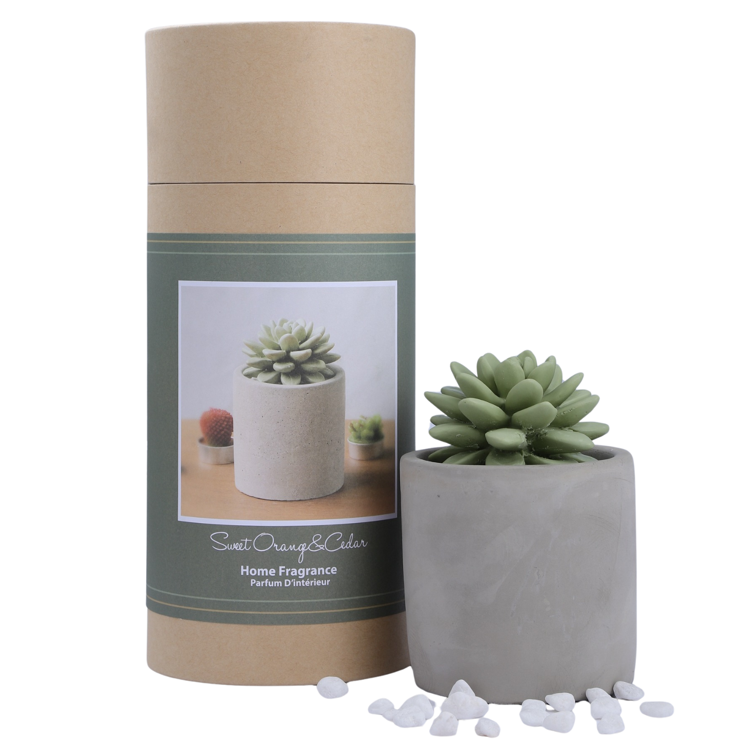 Pretty Valley Home Reed Diffuser Set, 3.38 fl oz/100 ml Succulent Ceramic Fragrance Diffuser Set, Home Fragrance Reed Diffuser for Bathroom Office Living Room Decor - Sweet Orange Cedar