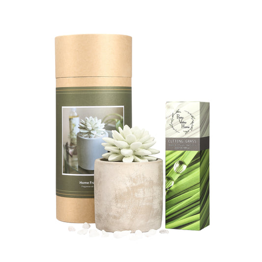 Pretty Valley Home Succulent Planter Diffuser Gift Set Combo Gutting Grass 200ml