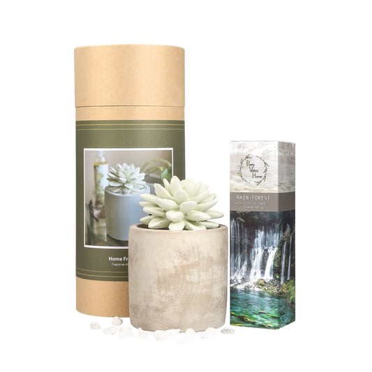 Pretty Valley Home Succulent Planter Diffuser Gift Set Combo Rain Forest 200ml