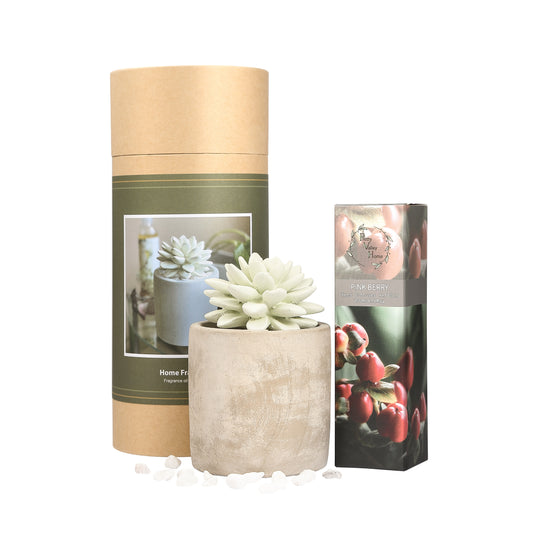 Pretty Valley Home Succulent Planter Diffuser Gift Set Combo Pink Berry 200ml
