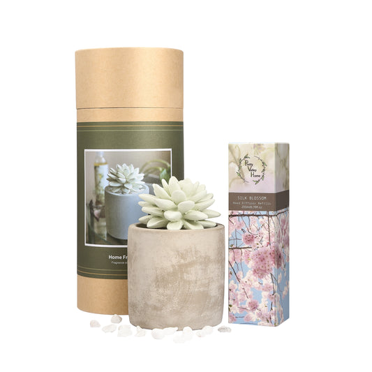 Pretty Valley Home Succulent Planter Diffuser Gift Set Combo Silk Blossom 200ml