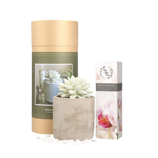 Pretty Valley Home Succulent Planter Diffuser Gift Set Combo White Orchid 200ml