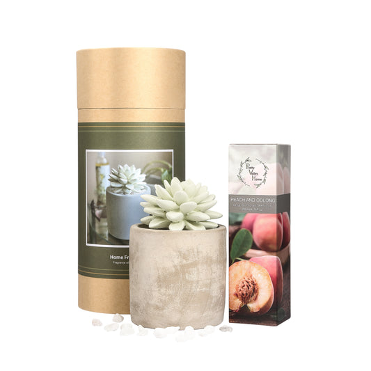 Pretty Valley Home Succulent Planter Diffuser Gift Set Combo Peach & Oolong 200ml