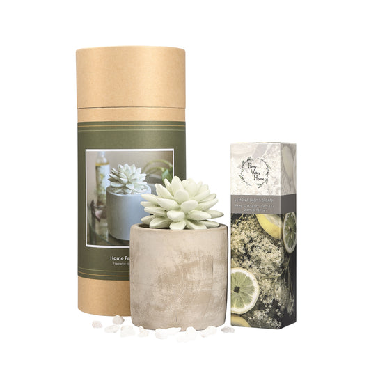 Pretty Valley Home Succulent Planter Fragrance Diffuser Gift Set – 200ml Refill Oil, Multiple Scents Available