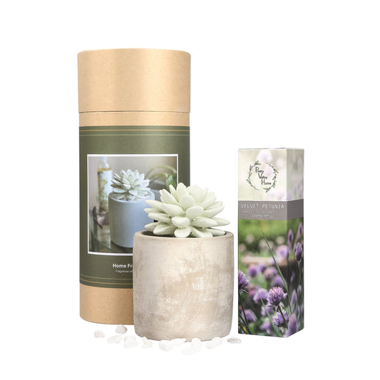 Pretty Valley Home Succulent Planter Diffuser Gift Set Combo Velvet Petunia 200ml