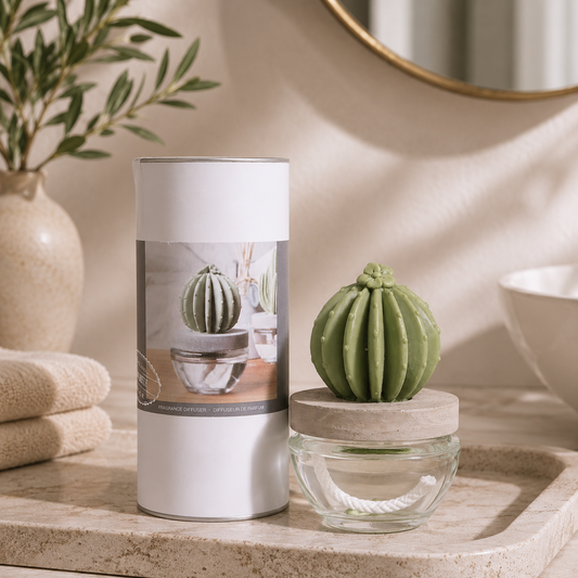 Pretty Valley Home Reed Diffuser Set Ceramic Cactus Fragrance Diffuser- 3.38 fl oz (100 ml), Home Fragrance Reed Diffuser for Bathroom Office Living Room Dining Table Decor-OCEAN BREEZE
