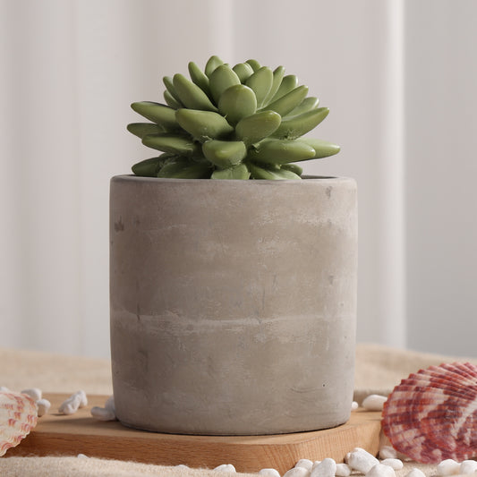 Pretty Valley Home Succulent Planter Diffuser Gift Set Combo Fleur De Lys 200ml