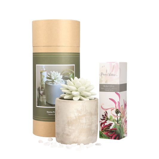 Pretty Valley Home Succulent Planter Diffuser Gift Set Combo Beautiful 200ml