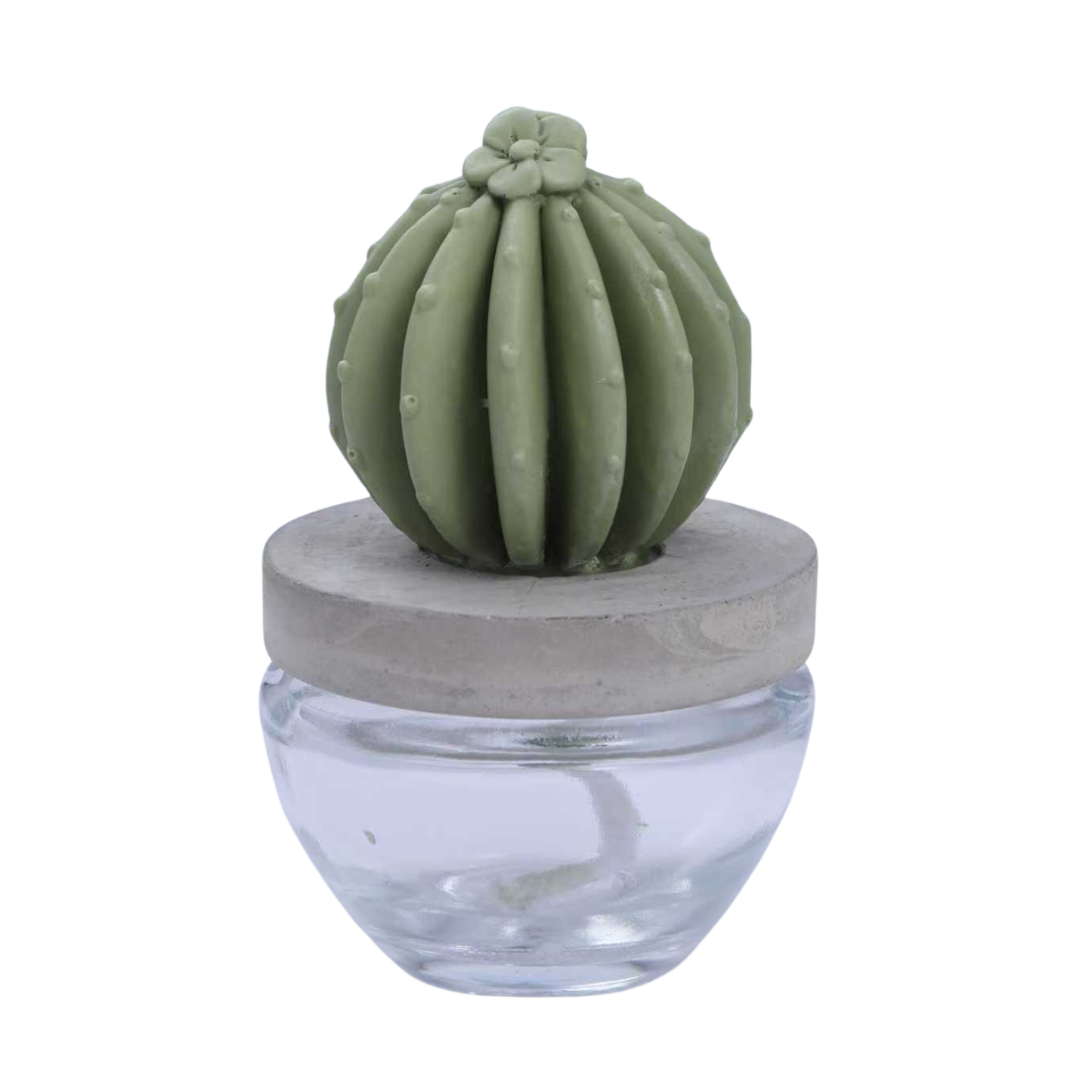 Pretty Valley Home Reed Diffuser Set Ceramic Cactus Fragrance Diffuser- 3.38 fl oz (100 ml), Home Fragrance Reed Diffuser for Bathroom Office Living Room Dining Table Decor-OCEAN BREEZE