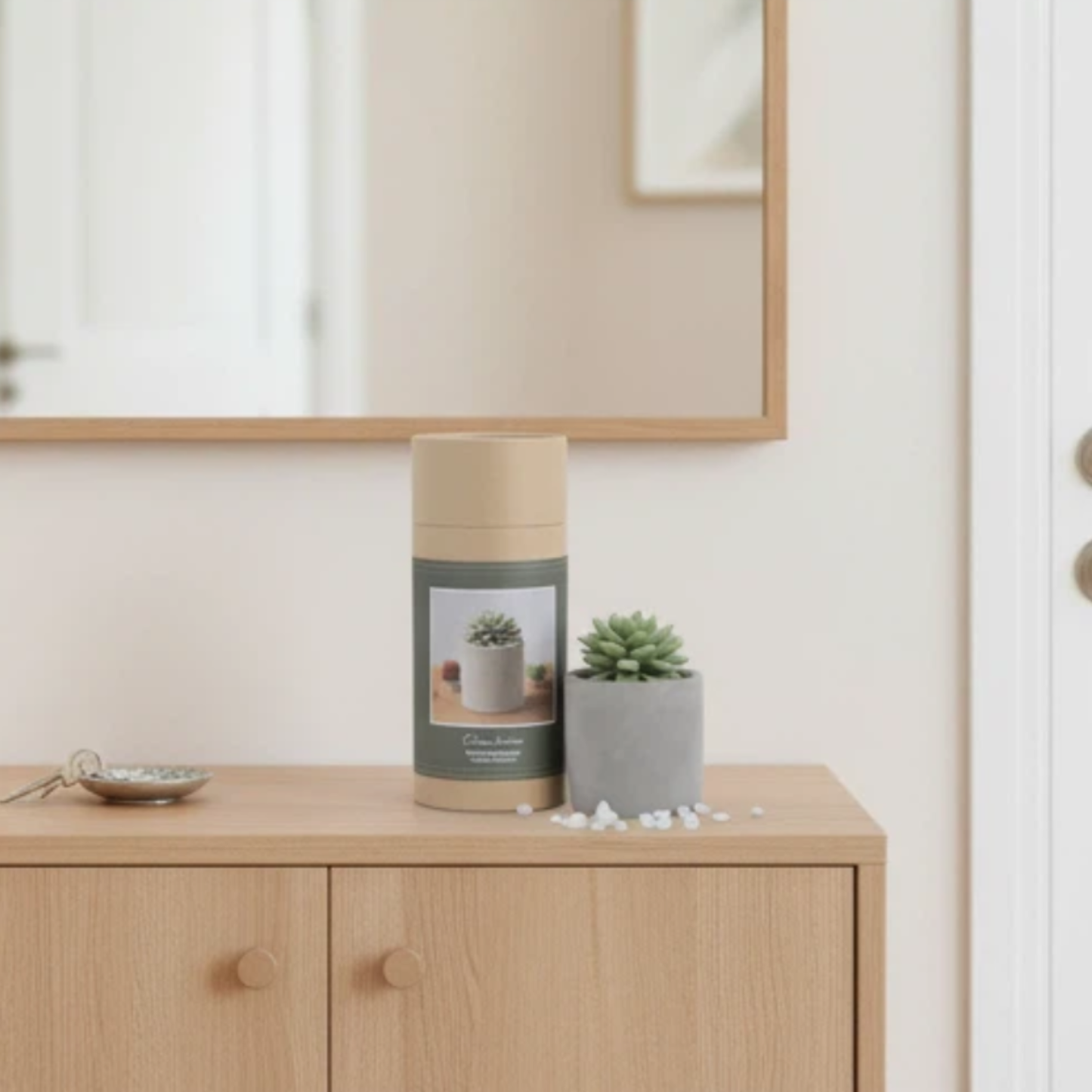 Pretty Valley Home Reed Diffuser Set, 3.38 fl oz/100 ml Succulent Ceramic Fragrance Diffuser Set, Home Fragrance Reed Diffuser for Bathroom Office Living Room Decor - Sweet Orange Cedar