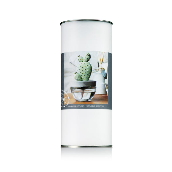 Cactus Fragrance Diffuser Set 6047-White Flower 100ml