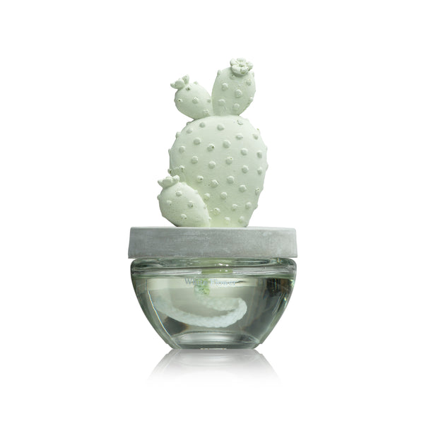 Cactus Fragrance Diffuser Set 6047-White Flower 100ml