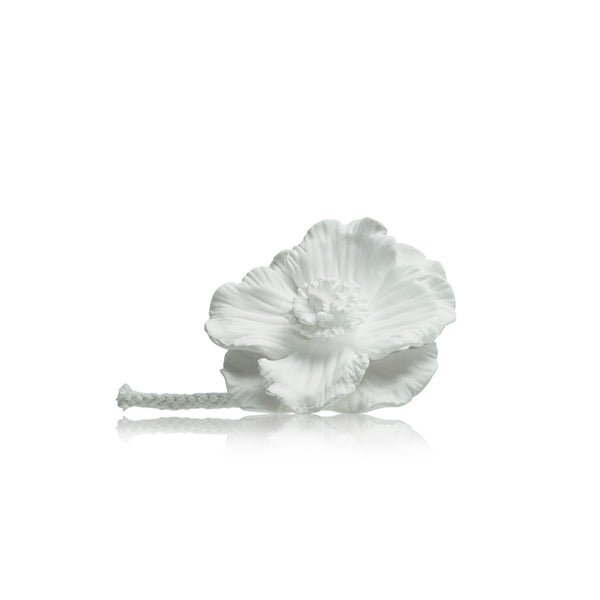 Ceramic Gypsum Flower Diffuser Set Bluebell Rain 6056-BR